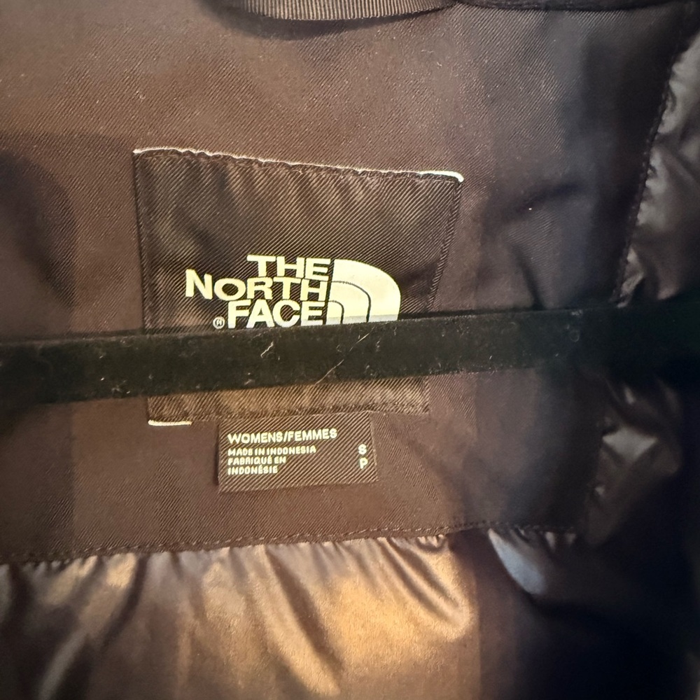 The North Face Artic Down Parka - Picture 2 of 4
